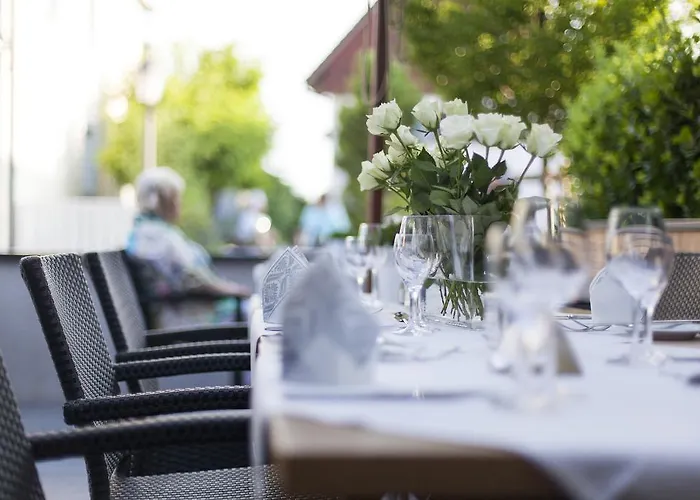Hagnauer Seeperle Hotel Hagnau am Bodensee